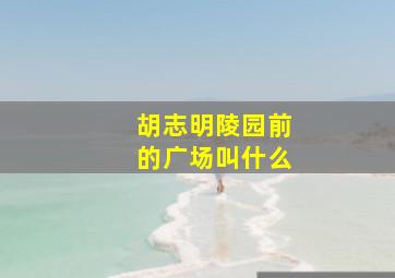 胡志明陵园前的广场叫什么