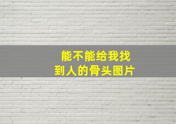 能不能给我找到人的骨头图片