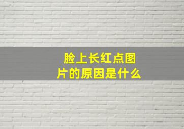 脸上长红点图片的原因是什么