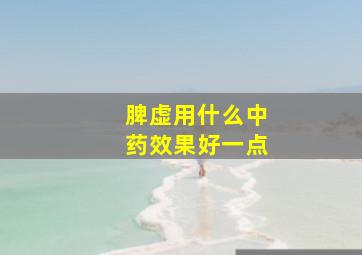 脾虚用什么中药效果好一点