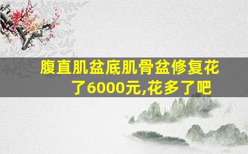 腹直肌盆底肌骨盆修复花了6000元,花多了吧