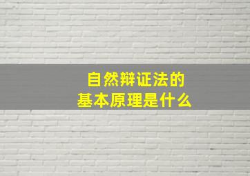 自然辩证法的基本原理是什么