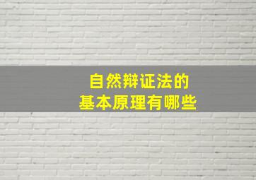 自然辩证法的基本原理有哪些