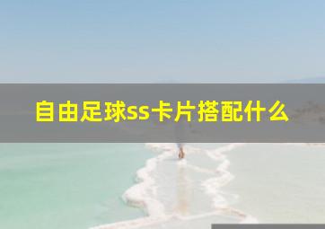 自由足球ss卡片搭配什么