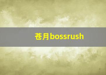 苍月bossrush