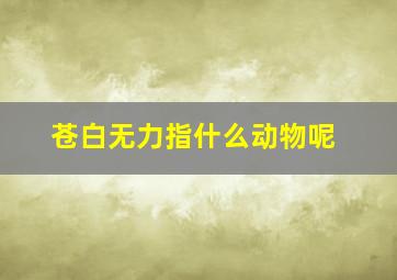 苍白无力指什么动物呢