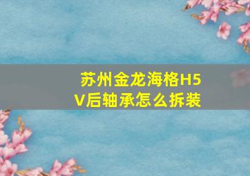 苏州金龙海格H5V后轴承怎么拆装