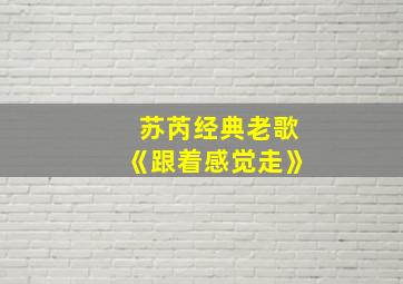 苏芮经典老歌《跟着感觉走》