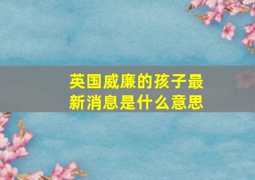 英国威廉的孩子最新消息是什么意思