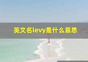 英文名levy是什么意思