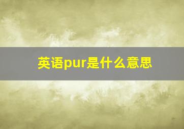 英语pur是什么意思