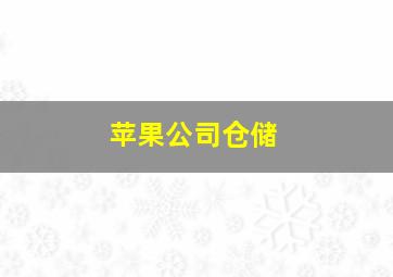 苹果公司仓储