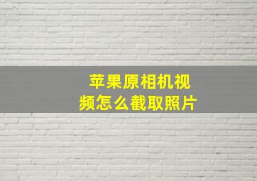 苹果原相机视频怎么截取照片