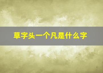 草字头一个凡是什么字