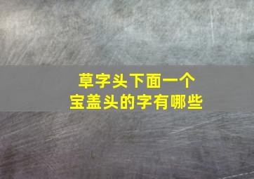 草字头下面一个宝盖头的字有哪些