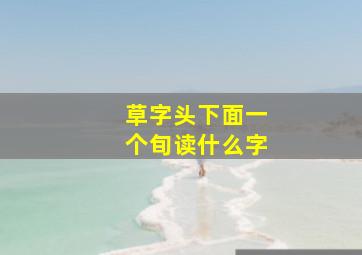 草字头下面一个旬读什么字