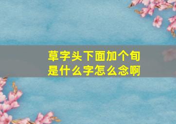 草字头下面加个旬是什么字怎么念啊