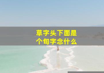 草字头下面是个旬字念什么