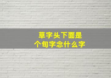 草字头下面是个旬字念什么字