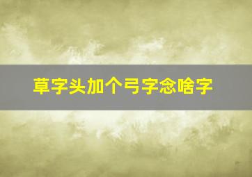 草字头加个弓字念啥字