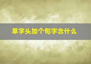 草字头加个旬字念什么