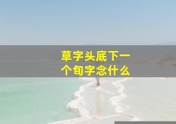 草字头底下一个旬字念什么