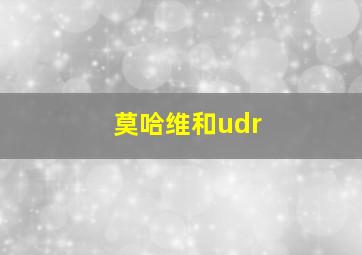 莫哈维和udr