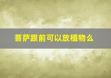 菩萨跟前可以放植物么