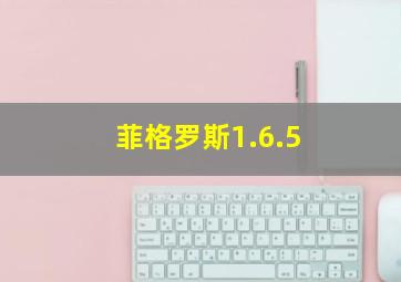 菲格罗斯1.6.5