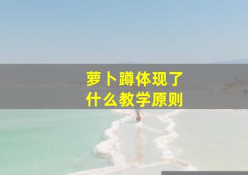 萝卜蹲体现了什么教学原则