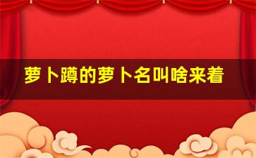 萝卜蹲的萝卜名叫啥来着