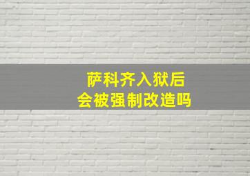 萨科齐入狱后会被强制改造吗