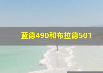 蓝德490和布拉德501