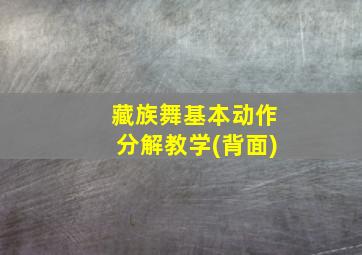 藏族舞基本动作分解教学(背面)