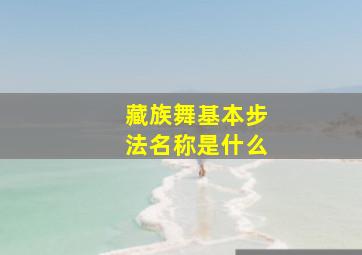 藏族舞基本步法名称是什么