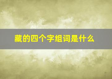 藏的四个字组词是什么