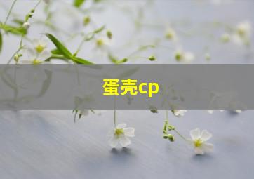 蛋壳cp