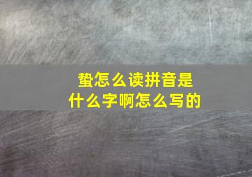 蛰怎么读拼音是什么字啊怎么写的