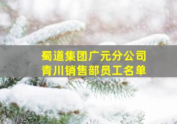 蜀道集团广元分公司青川销售部员工名单