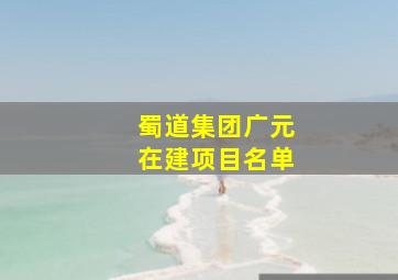 蜀道集团广元在建项目名单