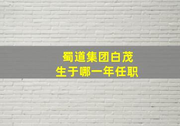 蜀道集团白茂生于哪一年任职