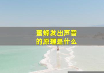 蜜蜂发出声音的原理是什么