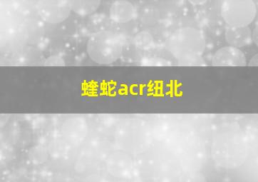 蝰蛇acr纽北