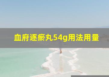 血府逐瘀丸54g用法用量