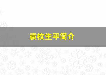 袁枚生平简介