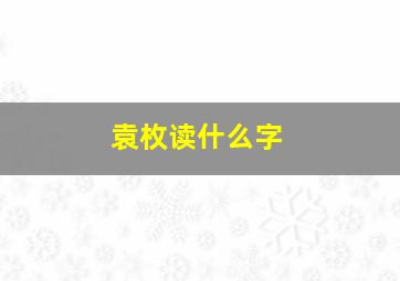 袁枚读什么字