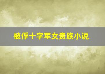 被俘十字军女贵族小说