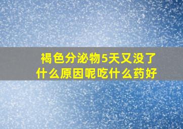 褐色分泌物5天又没了什么原因呢吃什么药好