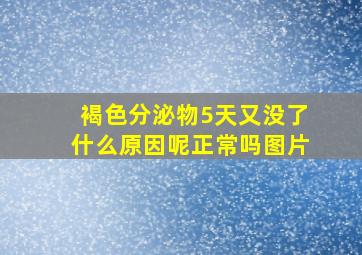 褐色分泌物5天又没了什么原因呢正常吗图片