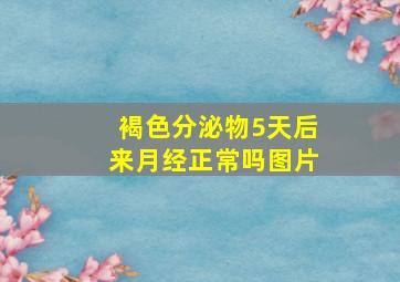 褐色分泌物5天后来月经正常吗图片